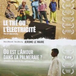 Le Thé ou l’Électricité de Jérôme Le Maire